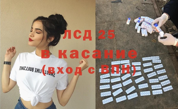 шишки Богородицк
