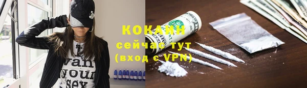 шишки Богородицк