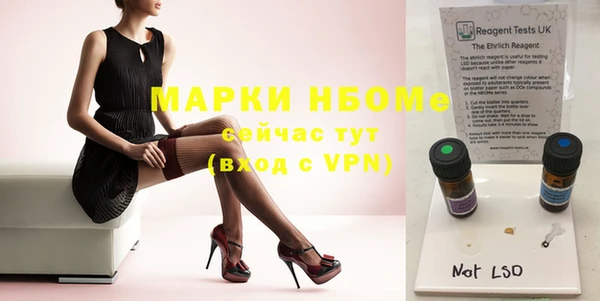 шишки Богородицк