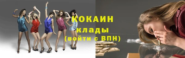 шишки Богородицк