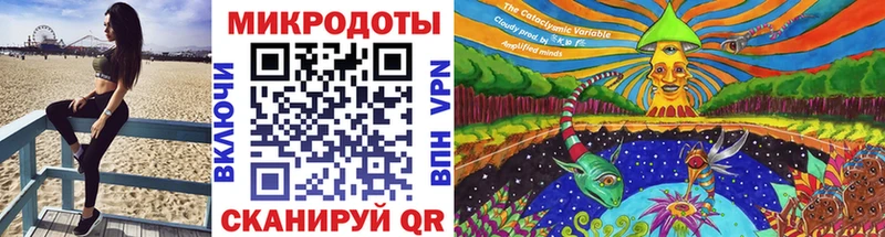 площадка клад  Верхний Уфалей  Псилоцибиновые грибы Cubensis 