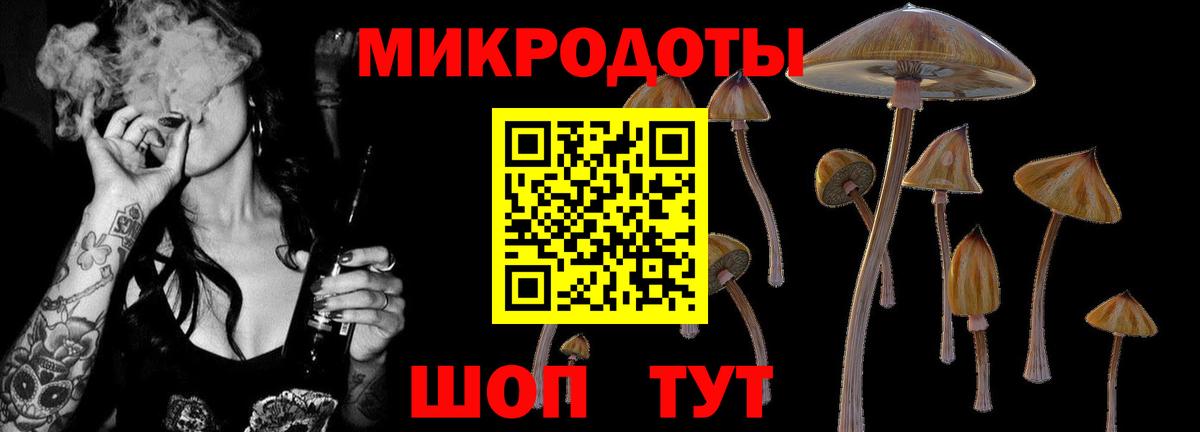 Галлюциногенные грибы Cubensis  Галлюциногенные грибы прущие грибы  Вход с VPN  Верхний Уфалей 